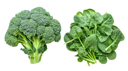 Fresh broccoli and spinach isolated on transparent background