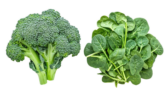 Fresh broccoli and spinach isolated on transparent background
