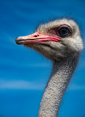 Looking at me, looking at you.