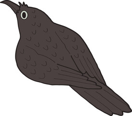 Fototapeta premium Illustration of a Black Bird Looking Up