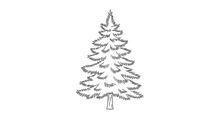 Elegant etching of a coniferous tree silhouette ideal for seasonal design and print projects