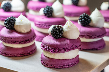 Karisik Turk tatlilari. New dessert varieties at the  luxury hotel open buffet. Milk-based desserts,  Turkish Dessert Sobiyet, havuc dilimi, midye baklava, mussels baklava and classic baklava. 