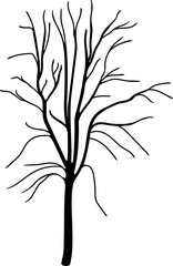 Fototapeta premium Black silhouette of tree with bare branches without leaves isolated on white background