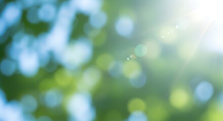 Abstract Soft Focus Green and Blue Bokeh with Sun Flare Background