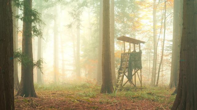 Raised, wooden hunting blind or stand in a foggy forest scene in autumn. Thick fog, early morning sunrise, warm orange tones, wide angle, real time footage, no people