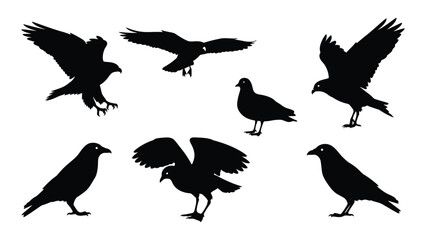 Obraz premium Diverse bird silhouettes set isolated on white background, Vector