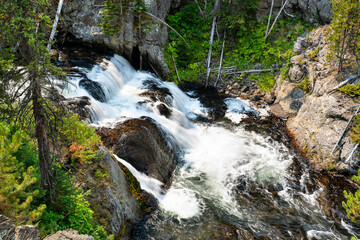 Kepler Cascades rushes down a rocky canyon on the Firehole River in Yellowstone National Park. Long exposure blurs the water, surrounded by green pine trees and rocks