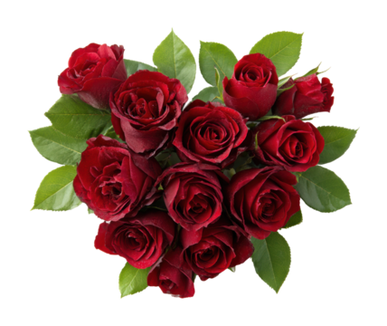 Beautiful bouquet of red roses floral arrangement isolated on transparent background