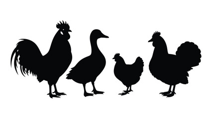 Farm poultry silhouettes isolated on white background, Vector