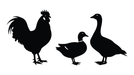 Farm birds silhouettes isolated on white background, Vector