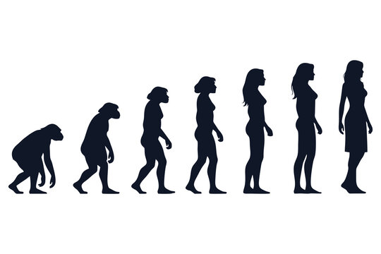 human evolution from ancient times to modern times