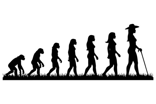 human evolution from ancient times to modern times