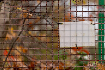 Pusta tabliczka na zardzewiałej siatce z drutem kolczastym w jesiennym otoczeniu © Kacper