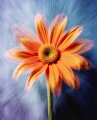A vivid orange bloom captured in macro, showing bright petals and a textured center against a blue, dynamic radial blur backdrop