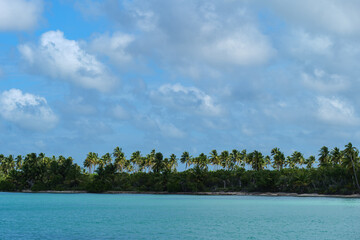 Saona island in Dominican Republic. paradise beach