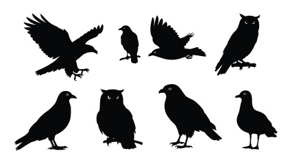 Diverse bird silhouettes collection isolated on white background, Vector