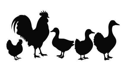 Farm poultry silhouettes collection isolated on white background, Vector