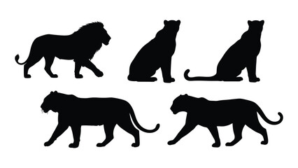 Big cat silhouettes set isolated on white background, Vector