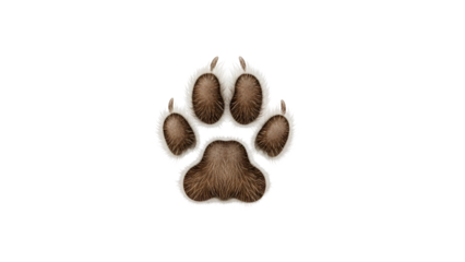 Close-up of Animal Paw Print on Transparent Background with Fur Details