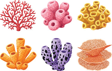 Cartoon coral and sponge illustration, marine life vector, ocean ecosystem, colorful sea creatures, underwater biology, reef elements, educational design, flat lay, stylized nature