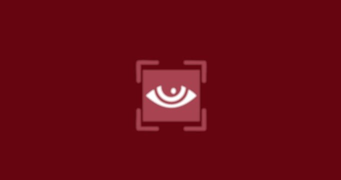 Camera eye  scanner vector