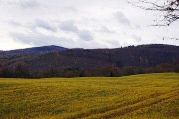 Rozległa łąka w górach z widokiem na majestatyczne szczyty. Zieleń trawy kontrastuje z kamienistymi górami, tworząc spokojny, malowniczy krajobraz natury. © Adam