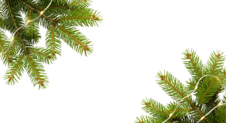 Festive christmas tree branches adorned with delicate white string lights isolated on transparent background
