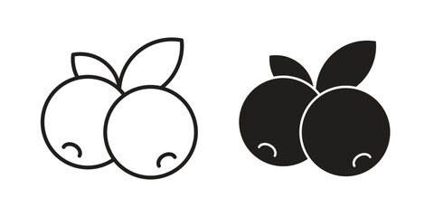 Blueberry icon illustration, thin line vector, web design sign,