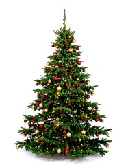A beautifully decorated green Christmas tree with classic red and gold baubles and warm glowing lights, isolated on a clean white background for holiday designs