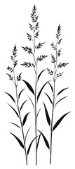 Naklejka premium PNG Wild flower Ragweed illustration minimalist design.