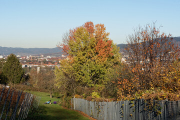 Freiburg im Breisgau - Schönberg - Wanderweg
