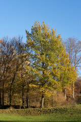 Freiburg im Breisgau - Schönberg - Wanderweg