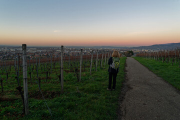 Freiburg im Breisgau - Schönberg - Abendstimmung