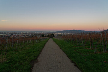 Freiburg im Breisgau - Schönberg - Abendstimmung