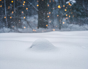 winter landscape with snow and trees