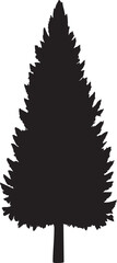 Detailed Evergreen Pine or Fir Tree Silhouette Vector