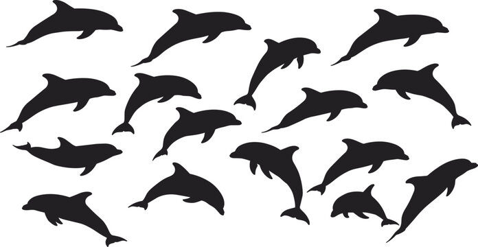 Dolphin silhouette vector illustration with multiple swimming and jumping poses, perfect for marine wildlife design, sea life, ocean nature, and aquatic themes