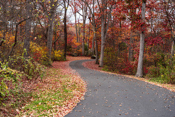 Autum in a park.