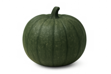 Green pumpkin squash displaying autumn harvest, fresh raw food ingredient with transparent background