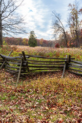 Autum in a park.