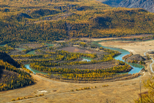 Breathtaking view of Altai region in autumn, featuring a winding river surrounded by vibrant foliage. Experience calmness and natural beauty in this tranquil landscape. Russia.
