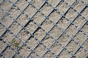 Patchy soil and small grass sprout inside metal ground grid