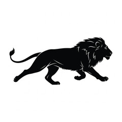 lion vector illustration