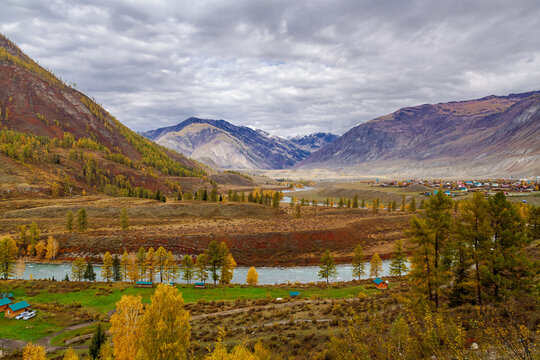Breathtaking view of Altai region in autumn, featuring a winding river surrounded by vibrant foliage. Experience calmness and natural beauty in this tranquil landscape. Russia.