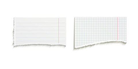 Piece of lined notebook paper with torn top and bottom edges vector illustration isolated on white background, realistic stationery mockup for notes, scrapbooks, reminders or design layouts.