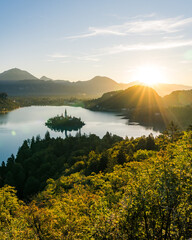 Vertical View of Lake Bled with Island Church Behind Trees in Warm Morning Light