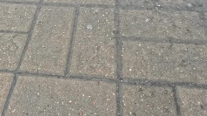 Raindrops gently fall onto the gray pavement forming small ripples and reflections across wet stone tiles in soft daylight creating calm urban rainy atmosphere - Powered by Adobe