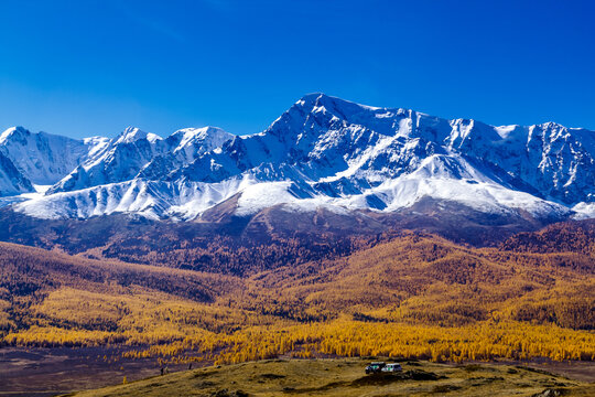Autumn larch taiga on the background of snow-capped mountains north chui range. Altai Republic, Russia.