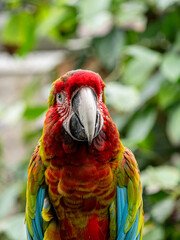 Bloedel Conservatory,  a lush glass dome filled with tropical plants and colorful birds a offering warm oasis high atop Queen Elizabeth Park in Vancouver BC
