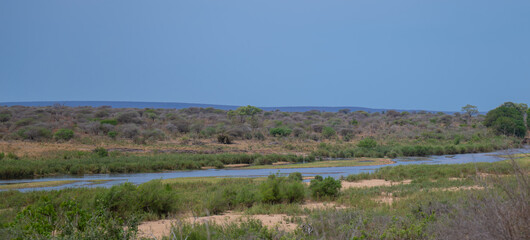View and landscape - Flora Botany Bush in Kruger Nationalpark